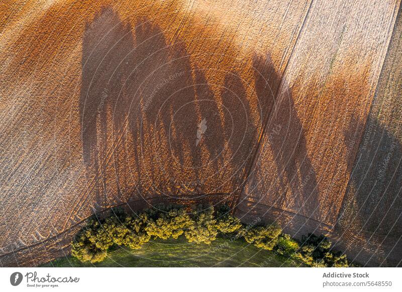 Luftaufnahme einer strukturierten Agrarlandschaft Antenne Ansicht Textur landwirtschaftlich Landschaft ländlich Schatten Baum Muster Feld Natur Ackerland Ernte