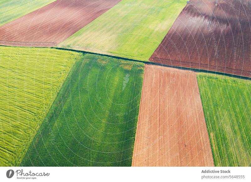 Patchwork aus der Luft mit üppigen landwirtschaftlichen Feldern Antenne Ansicht Ackerbau grün braun ländlich Landschaft Muster Ackerland Bodenbearbeitung Erde