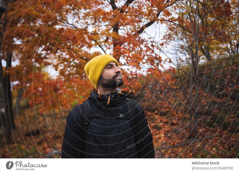Selbstbewusster Mann in warmer Kleidung mit Mütze im herbstlichen Park stehend Herbst Natur warme Kleidung männlich heiter Porträt ernst selbstbewusst unrasiert