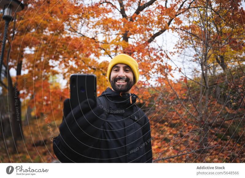 Fröhlicher bärtiger Mann ruft per Video im Park an Smartphone Baum Herbst Natur männlich Nationalpark Videoanruf Gerät Mobile heiter Internet warme Kleidung