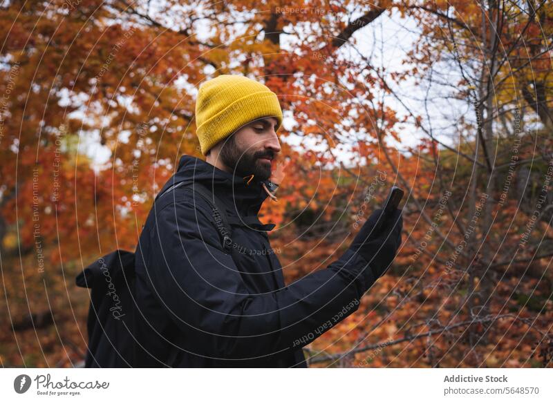 Bärtiger Mann im warmen Mantel, der im herbstlichen Wald ein Mobiltelefon benutzt Browsen Smartphone Park Baum Herbst Natur Apparatur warme Kleidung männlich