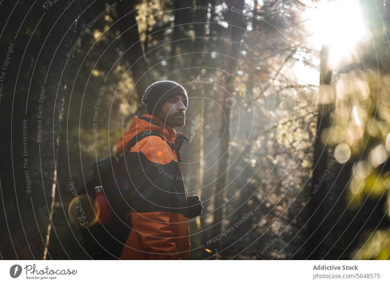 Mann Forscher stehend im Herbst Wald an einem sonnigen Tag Reisender erkunden national Park Natur Wälder Abenteuer jung männlich hoch Baum Tourismus Wanderer