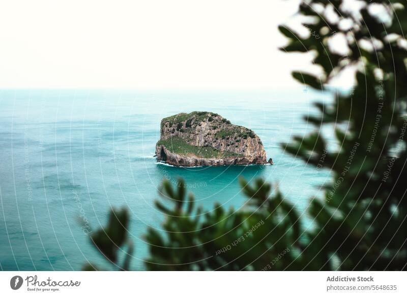 Felsige Insel mit blauem Meer und nahem grünen Wald MEER Natur felsig Landschaft Meereslandschaft Formation Felsen malerisch Umwelt Küste wachsen lassen