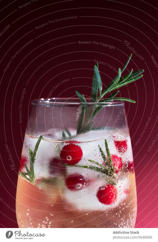 Rosmarin-Wintercocktail mit Preiselbeeren auf rotem Hintergrund Cocktail Garnierung Beeren trinken Getränk Alkohol Zweig frisch sprudelnd funkelnd festlich