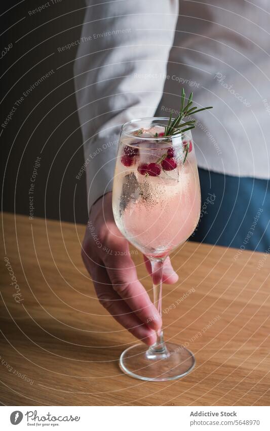 Rosmarin-Wintercocktail garniert mit Preiselbeeren Cocktail Garnierung trinken Glas Stielgläser Hand Präsentation kalt Erfrischung Beeren Zweig Alkohol