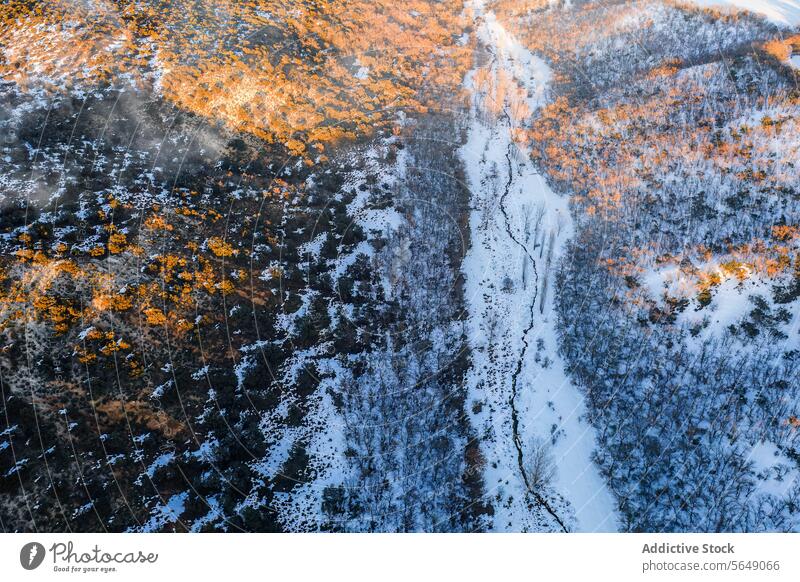 Luftaufnahme eines schneebedeckten Waldes in Guadalajara, Spanien Schnee saisonaler Übergang Herbst Bäume Landschaft Natur Winter verschneite Waldgebiet