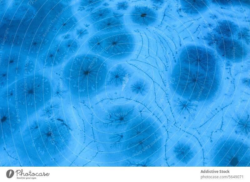Frostmuster auf blauem Winterhintergrund Muster Hintergrund kalt Textur Eis natürlich Kristalle Oberfläche kompliziert Guadalajara Spanien abstrakt frigide