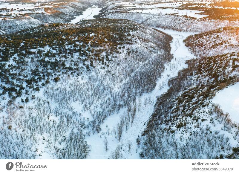 Winterlandschaft Luftaufnahme in Guadalajara, Spanien Antenne Landschaft Schnee Wald Fluss ruhig Natur weiß saisonbedingt kalt im Freien Wildnis Dröhnen Ansicht
