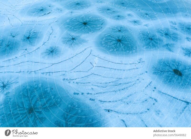 Verschlungene Frostmuster auf einer gefrorenen Fläche in Guadalajara Muster Eis Oberfläche Natur Nahaufnahme Spanien Winter Textur natürlich kalt blau abstrakt