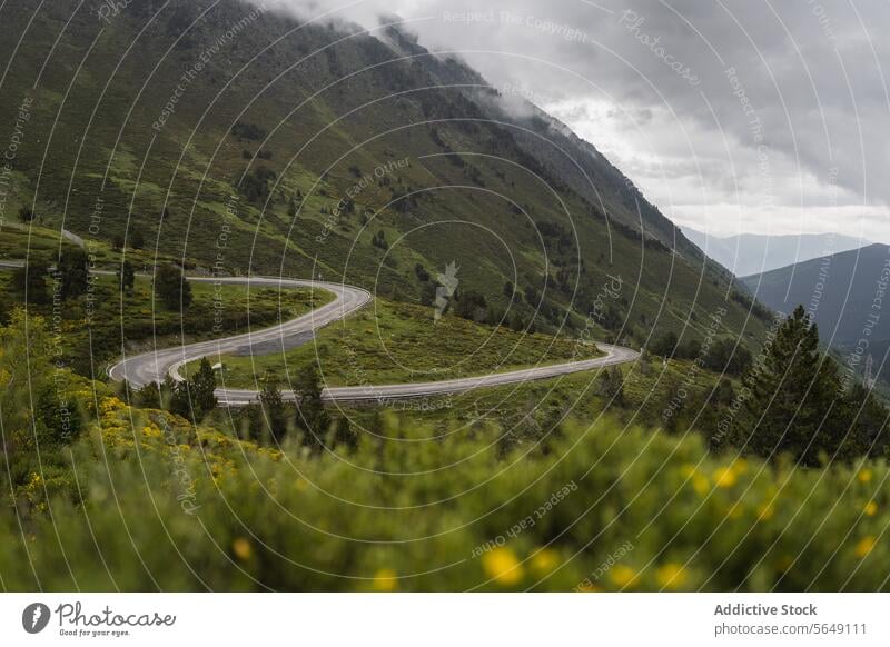 Kurvenreiche Straße in grünen Bergen unter bewölktem Himmel geschlängelt Berge u. Gebirge Nationalpark Landschaft malerisch leer Natur Asphalt Route Spanien