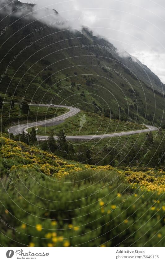 Kurvenreiche Straße in grünen Bergen unter bewölktem Himmel geschlängelt Berge u. Gebirge Nationalpark Landschaft malerisch leer Natur Asphalt Route Spanien