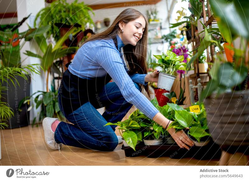 Glückliche Besitzerin beim Arrangieren von Pflanzen in der Floristik Frau Blumenhändler einrichten Topf Pflege eingetopft Geldpflanze Arbeit Werkstatt
