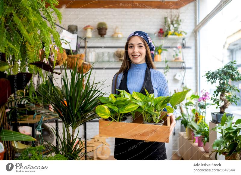 Junge lächelnde Frau mit Epipremnum aureum in einem Übertopf in der Floristik pothos Geldpflanze Lächeln Pflanzer Kasten Blumenhändler Arbeit führen Besitzer