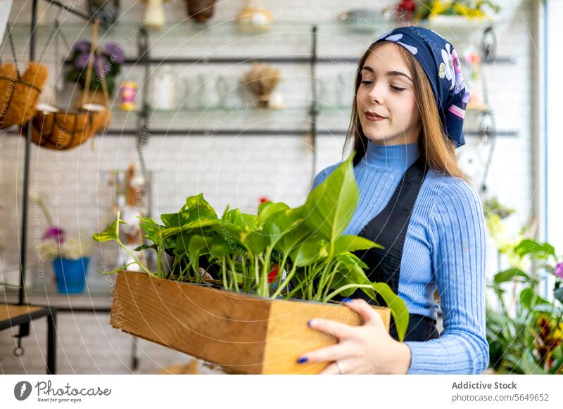 Junge Frau mit Epipremnum aureum im Übertopf in der Floristik pothos Geldpflanze Pflanzer Kasten Blumenhändler Arbeit führen Besitzer Kleinunternehmen frisch