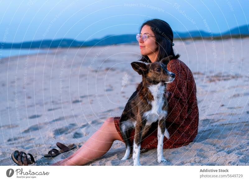 Frau mit Hund verbringt ihre Freizeit am Strand Tourist Meer Gelassenheit Urlaub Sonnenuntergang Himmel Seitenansicht Freizeitkleidung Sand gehorsam