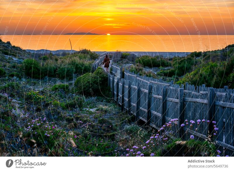 Frau genießt Urlaub am Strand bei Sonnenuntergang Reisender Fußweg Spaziergang Meereslandschaft orange Rückansicht Zaun hölzern schön Himmel Freizeitkleidung