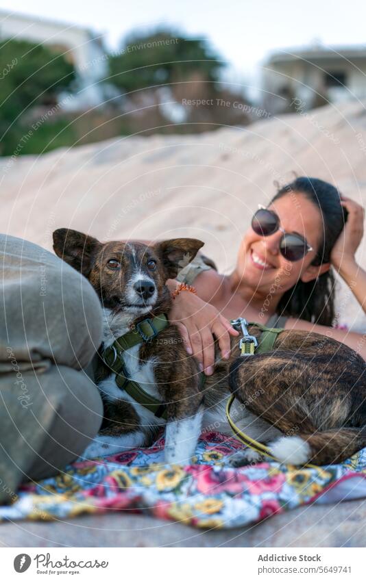 Frau mit Haustier rastet am Strand Tourist Hund Lügen Sand Glück Sonnenbrille bezaubernd Lächeln Decke sich[Akk] entspannen Urlaub heiter schön Tier