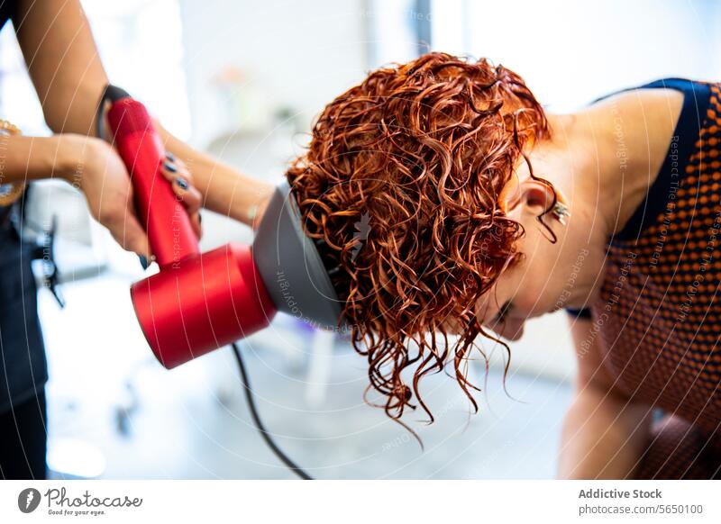 Professionelle Friseurin trocknet lockiges Haar mit einem Föhn krause Haare Salon Haarpflege professionell stylen Frisur Schönheit Haarbehandlung Frau Pflege