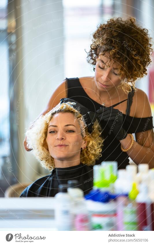 Färben der Haare in einem professionellen Friseursalon Salon Behaarung Färbung Frau Stylist Farbstoff Schönheit Pflege Friseurstuhl Klient Haarpflege