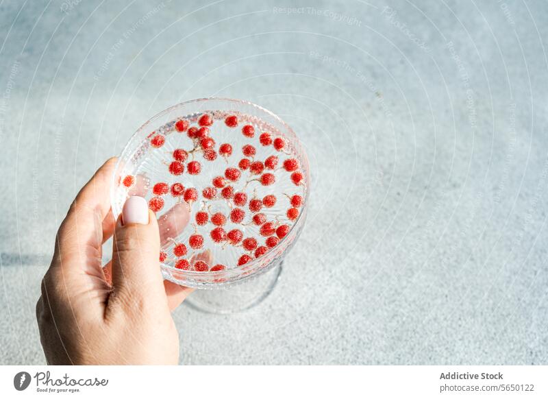 Elegante Hand hält einen Glasteller mit roten Beeren Teller Schatten Textur elegant durchsichtig Untertasse filigran klein gießen Oberfläche Beteiligung