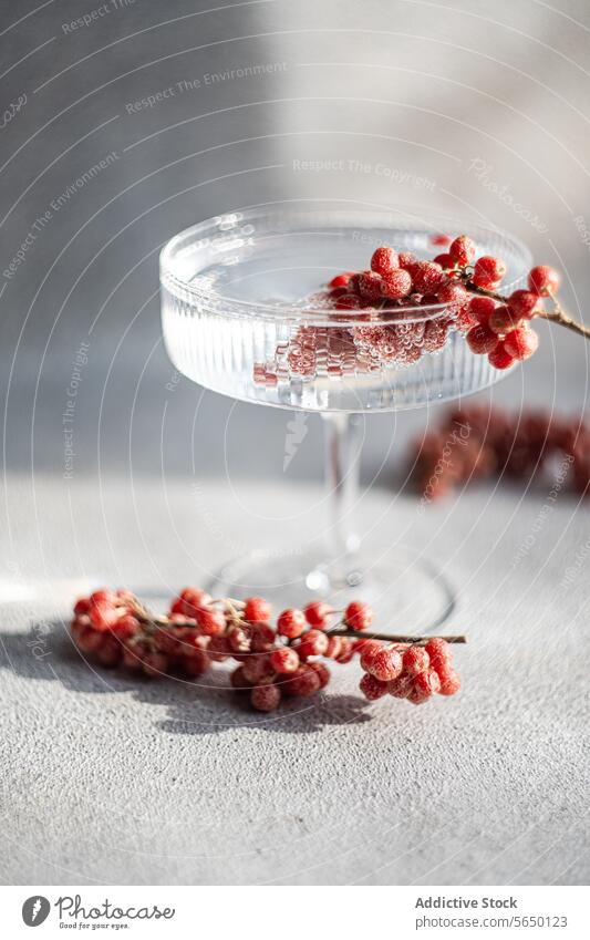 Elegantes Cocktailglas mit dekorativen roten Beeren Glas Getränk übersichtlich trinken Eleganz Raffinesse Zweig Zierde Textur Oberfläche Licht natürlich