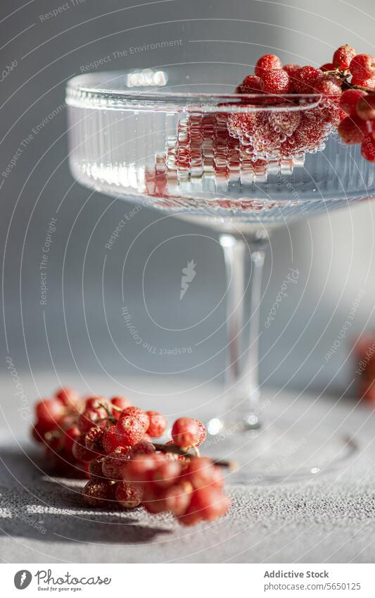 Elegantes, mit roten Beeren verziertes Sektglas Glas Champagne Wasser Eleganz Raffinesse Überlauf filigran weich Licht Hintergrund trinken Erfrischung Frucht