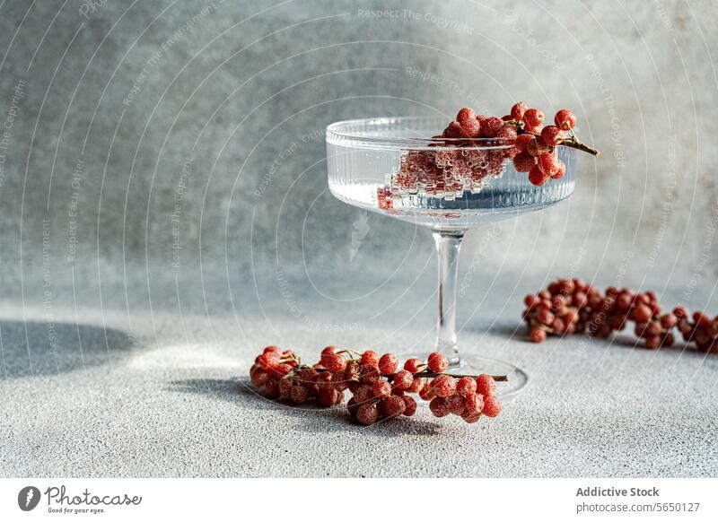 Elegantes Cocktailglas mit Weintrauben auf strukturiertem Hintergrund Glas Traube rot Eleganz Textur grau Schatten Licht Tischplatte Stillleben Frucht Reichtum