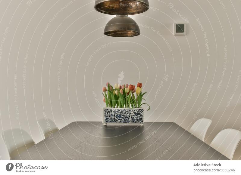 Frische Tulpenblüten in Vase auf Esstisch Blume Esszimmer Tisch Pendelleuchte Wand weiß Stuhl Thermostat Appartement modern frisch Licht Raum Möbel heimwärts