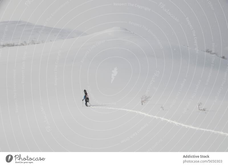 Draufsicht auf eine Person beim Wandern in den verschneiten Alpen Snowboard Mast Wanderung Spaziergang Berge u. Gebirge Rückansicht unkenntlich aktiv Winter