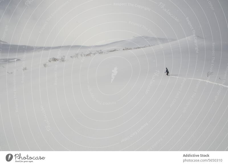 Von oben auf eine Person, die auf verschneiten Alpen wandert Snowboard Mast Wanderung Spaziergang Berge u. Gebirge Rückansicht unkenntlich aktiv Winter Urlaub