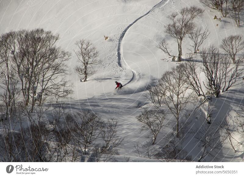 Aktive Person beim Snowboardfahren in verschneiter Landschaft Snowboarding Schnee Baum Winter Feiertag von oben Japan anonym sorgenfrei aktiv Snowboarder