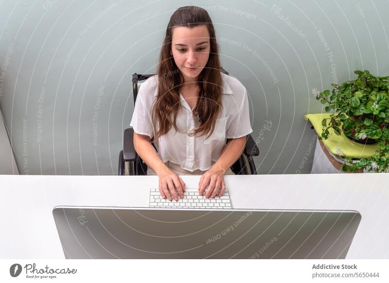 Professionelle Frau, die an einem Computerschreibtisch arbeitet Rollstuhl professionell arbeiten Schreibtisch Tippen Keyboard Arbeitsbereich Topfpflanze Büro