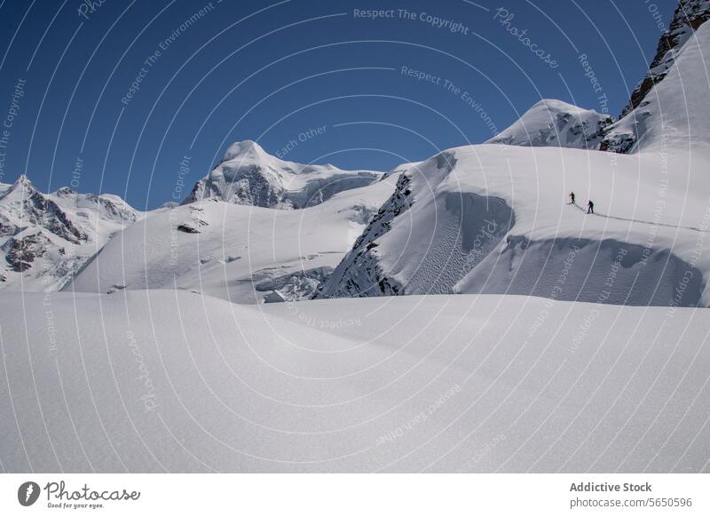 Unbekannte Touristen beim Skifahren auf einem schneebedeckten Berg in Zermatt unter blauem Himmel Schnee Berge u. Gebirge Skifahrer Landschaft majestätisch
