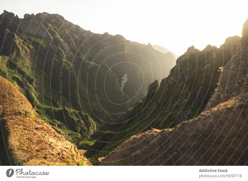 Idyllischer Blick auf Bergketten mit grünen Pflanzen und Vegetation bei Sonnenuntergang Berge u. Gebirge Landschaft Natur idyllisch Sonnenlicht Sonnenaufgang