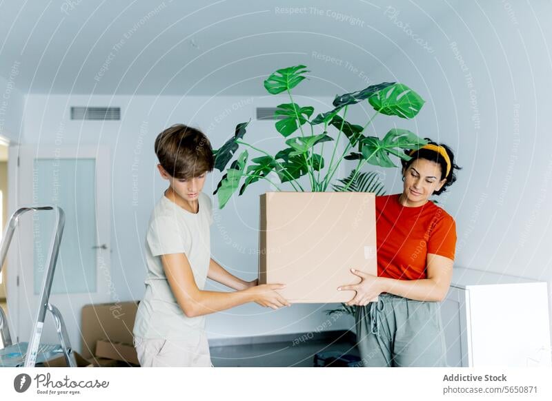 Mutter und Sohn tragen eine Zimmerpflanze in einer Kartonschachtel führen Kasten positiv Mama Schachtel Lächeln heimwärts Zusammensein Rudel Haus verlegen