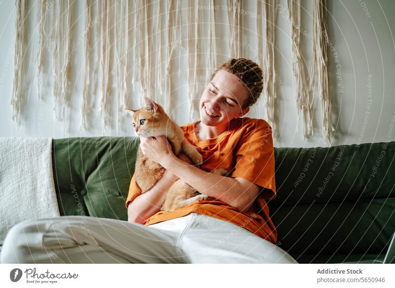 Junge Frau streichelt liebenswerte Britisch-Kurzhaar-Goldkatze auf dem Sofa zu Hause Katze Britisch Kurzhaar Besitzer golden Umarmen Umarmung Liege