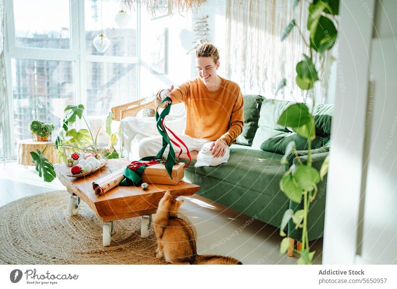 Junge lächelnde Frau sitzt auf dem Sofa und spielt mit einer Katze mit grüner und roter Schleife zu Hause Geschenk Kasten Glück Pflanze Lächeln präsentieren