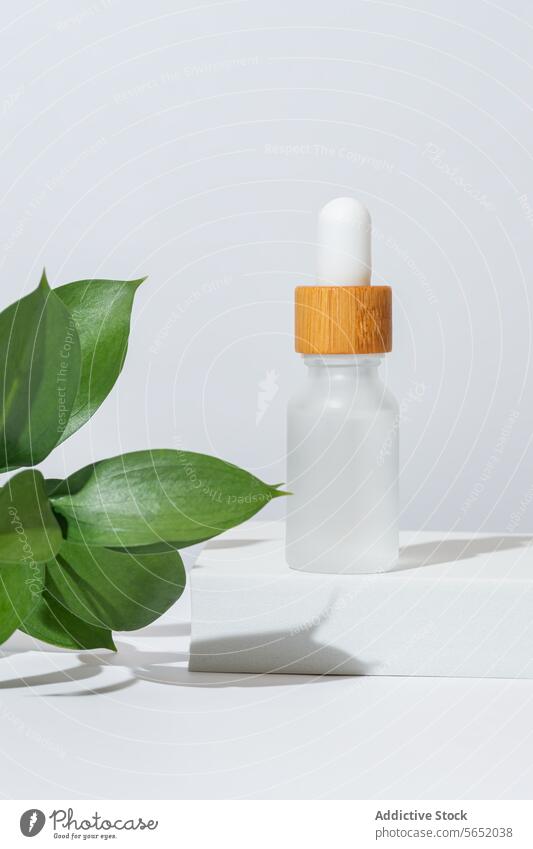 Kosmetische Tropfflasche mit natürlichen grünen Blättern Kosmetik Tropfer Flasche Blatt weiß Hintergrund Hautpflege Schönheit Serum Erdöl Essenz organisch