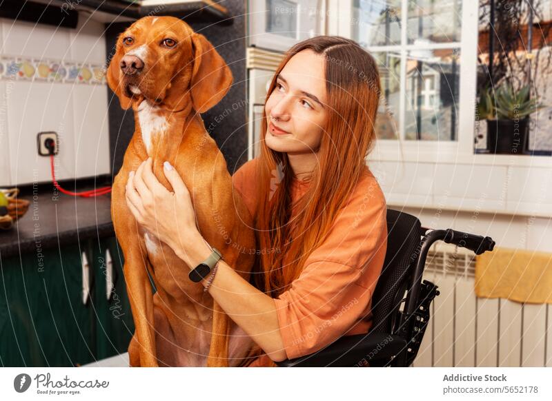Junge Rollstuhlfahrerin verbindet sich mit ihrem Hund zu Hause Frau heimwärts Küche Bonden deaktiviert Haustier Zuneigung Pflege Begleiter Zugänglichkeit