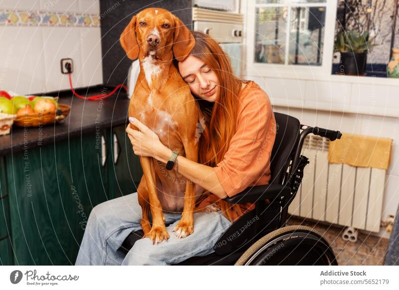 Zärtlicher Moment zwischen behindertem Besitzer und Hund Frau Rollstuhl Haustier Umarmen deaktiviert heimwärts Küche gemütlich Treue Zuneigung Angebot Pflege
