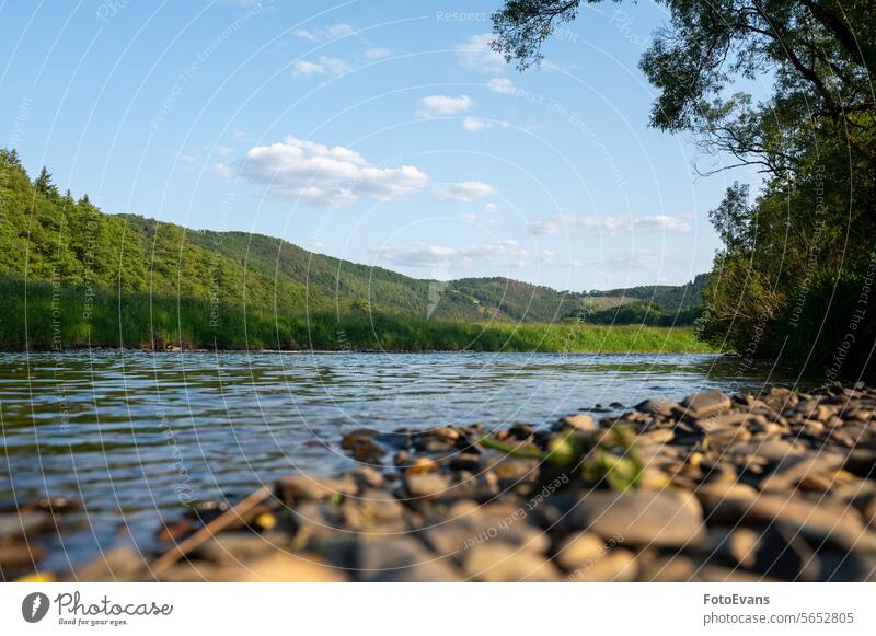 Flusslandschaft - Ein Fluss in einer grünen Landschaft mit einem unscharfen Vordergrund Gras Herbst Natur Wasser Deutschland Wiese Botanik Steine verschwommen
