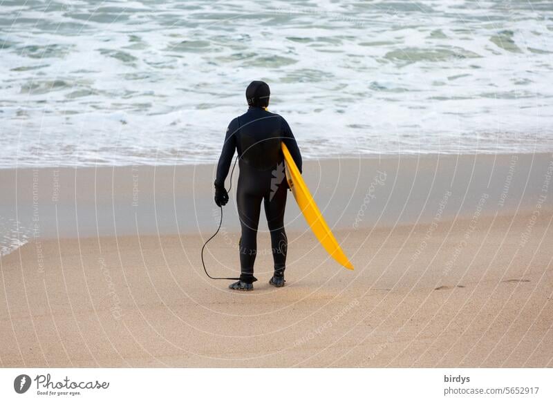 Surfer in schwarzem Neoprenanzug und gelbem Surfbrett schaut aufs Meer hinaus Surfen Strand Wasser Wellen Mann schauen warten stehen Rückansicht sportlich