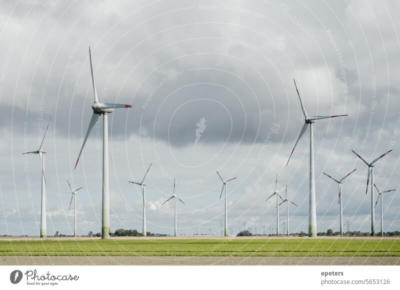 Windkrafträder auf einem Feld vor grauen Wolken Windkraftanlage Deutschland Energie Energiewirtschaft Energiewende Erneuerbare Energie Windrad Elektrizität