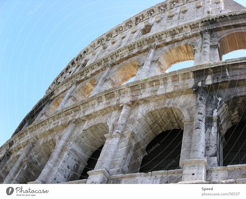 Fazination Colosseum Gebäude Kolosseum Rom Italien antik Gladiator historisch Fenster Ferien & Urlaub & Reisen Himmel colloseum collosseum alt Stein