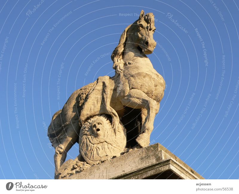 Stone Fury Pferd Paris Statue horse stone sky himmel