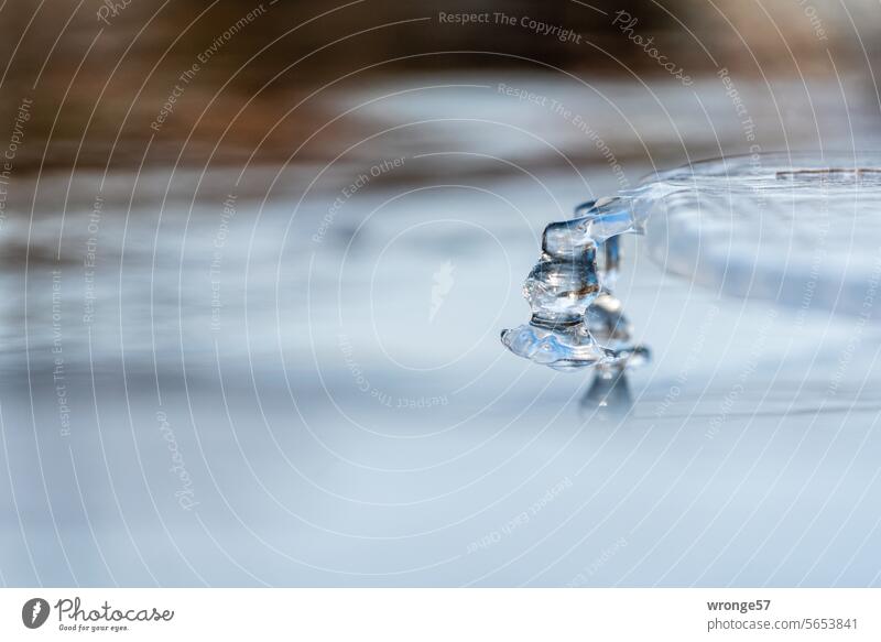 Eisskulptur in den Elbwiesen Winter Winterstimmung Eispfropfen Natur Außenaufnahme frieren Menschenleer Kälte gefroren frostig Fluss Hochwasser Eisoberfläche