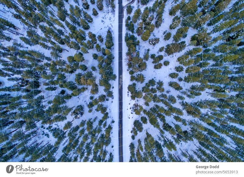 Luftaufnahme einer einzelnen Straße im Winterwald Kaskaden Kaskadengebirge leavenworth washington Leavenworth Washington State pazifischer Nordwesten im Freien