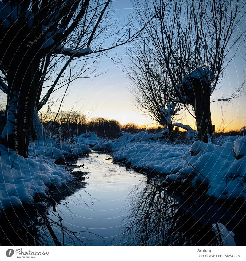 Winterlandschaft | Weiden am Bach bei Sonnenuntergang Zweige Wasser Spiegelung Wasseroberfläche Wasserspiegelung Schnee ruhig still Idylle Landschaft Ruhe