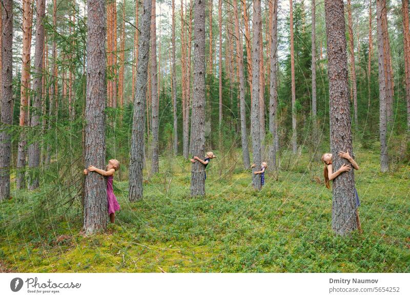 Mädchen unterschiedlichen Alters umarmen Kiefern und schauen nach oben, während sie in einem Sommerwald spielen offen Pflege Kind Kindheit Kinder Erhaltung
