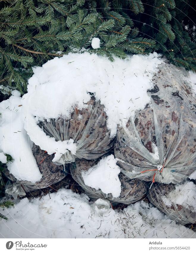 Weg damit! | Laubsäcke und Weihnachtsbäume im Schnee, warten am Straßenrand auf die Entsorgung Tanne Weihnachtsbaum Tannenbaum Winter Garten Gartenarbeit